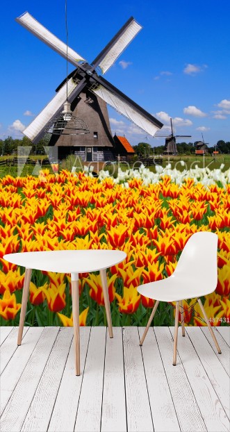 Picture of Traditional Dutch windmill with vibrant orange and yellow tulips